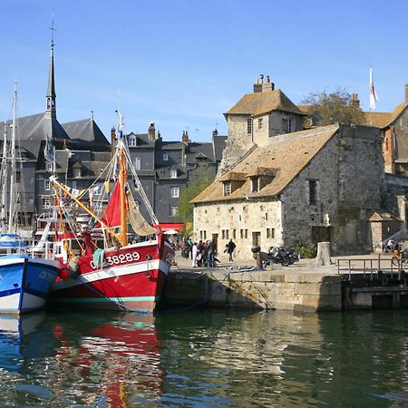 Studio meublé Jacynthe Proche Le Havre - Etretat - Honfleur Saint-Romain-de-Colbosc Esterno foto